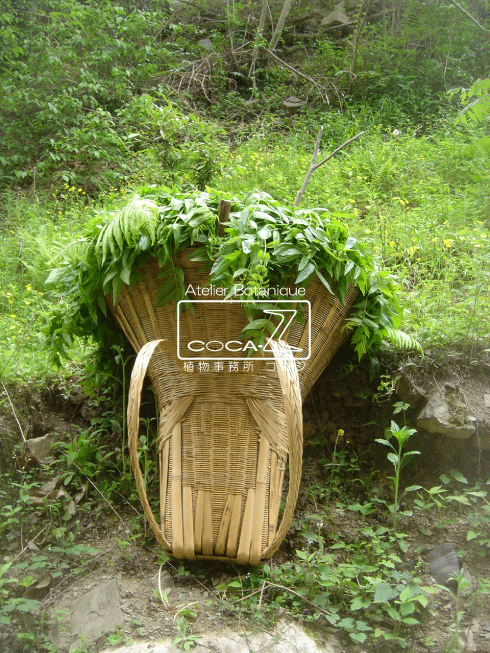 b0160123_1091456.gif