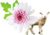 e0136523_19443219.gif