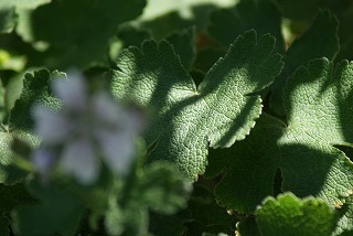 f0170524_13475331.jpg