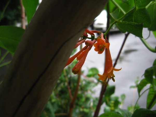 c0102228_211026.jpg