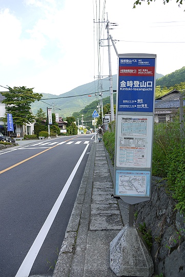 箱根明神ヶ岳・花を求めてのんびり記　前編_c0196928_19201833.jpg