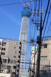 c0127029_9214996.jpg