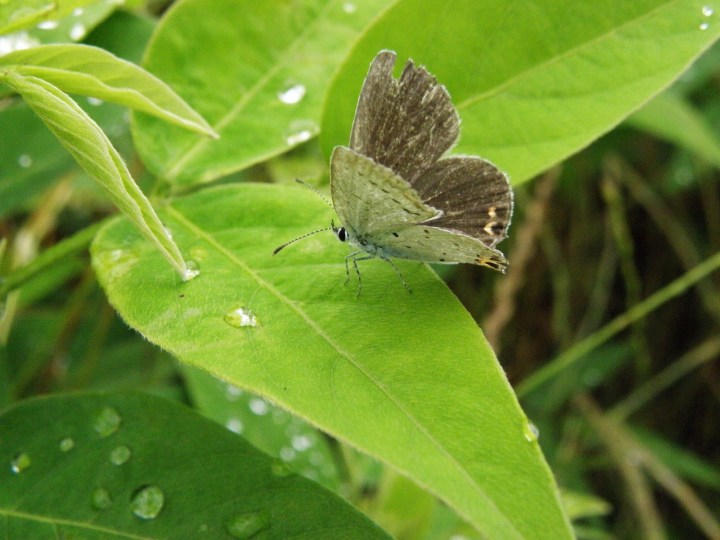 c0172139_2355265.jpg