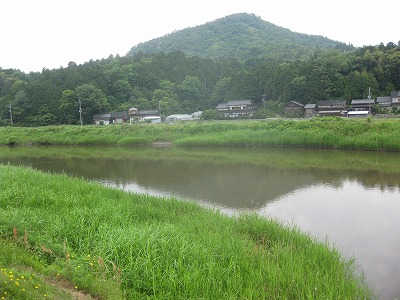 b0087842_25119.jpg