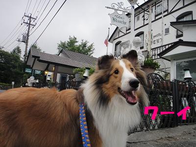 犬もどっぷり草津温泉~!_e0195743_2383946.jpg