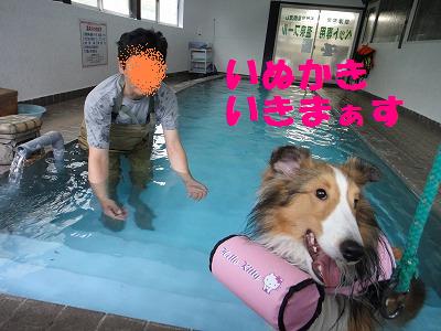 犬もどっぷり草津温泉~!_e0195743_314275.jpg