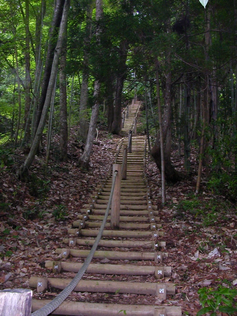 蕃山〜西風蕃山〜萱ヶ崎山_b0180352_23241784.jpg