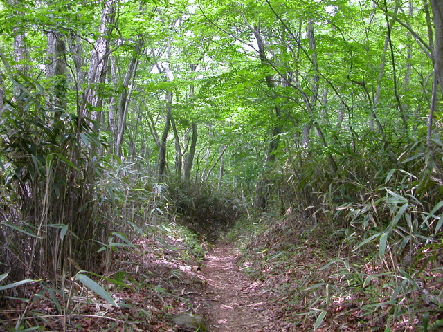 蕃山〜西風蕃山〜萱ヶ崎山_b0180352_23303823.jpg