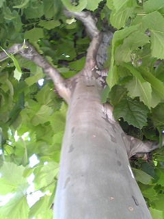 d0052263_031151.jpg