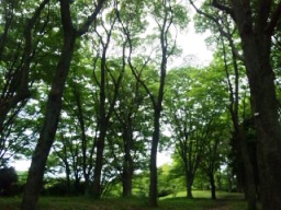 c0131164_23532494.jpg