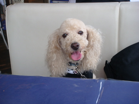 2010.6.14 お台場へ・・_a0083571_0473769.jpg