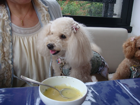 2010.6.14 お台場へ・・_a0083571_0564146.jpg