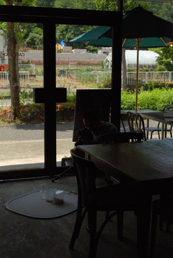 b0173176_19284359.gif