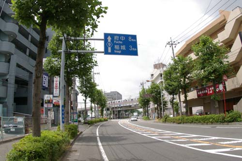 日野へ自転車から見たこと 第1部_f0211178_11853.jpg
