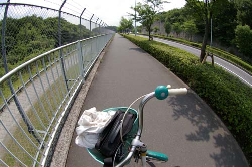 日野へ自転車から見たこと　　第１部_f0211178_1194628.jpg