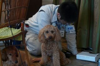 12時間。。。信じられな~い_b0098584_8383852.jpg