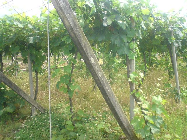 c0113585_2257550.jpg