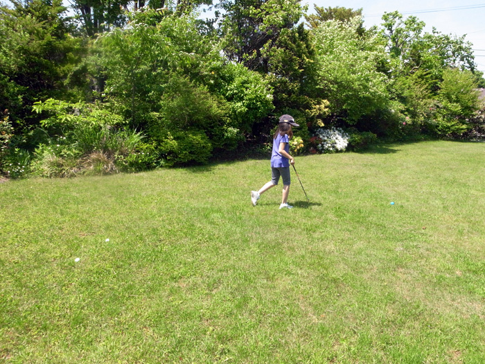 b0142688_8593130.jpg