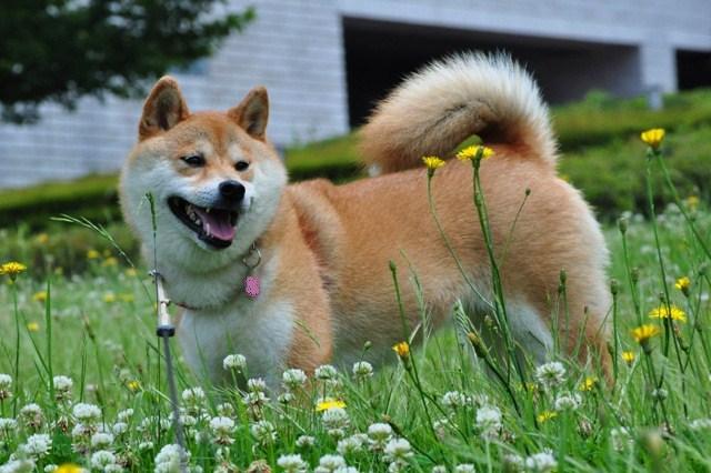 みなさんに感謝!!_a0126590_6105621.jpg