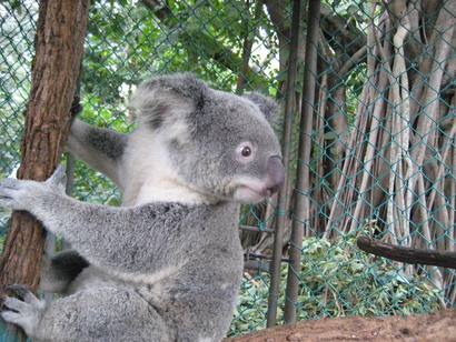 f0117892_10403113.jpg