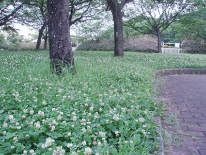 d0071596_22551947.jpg