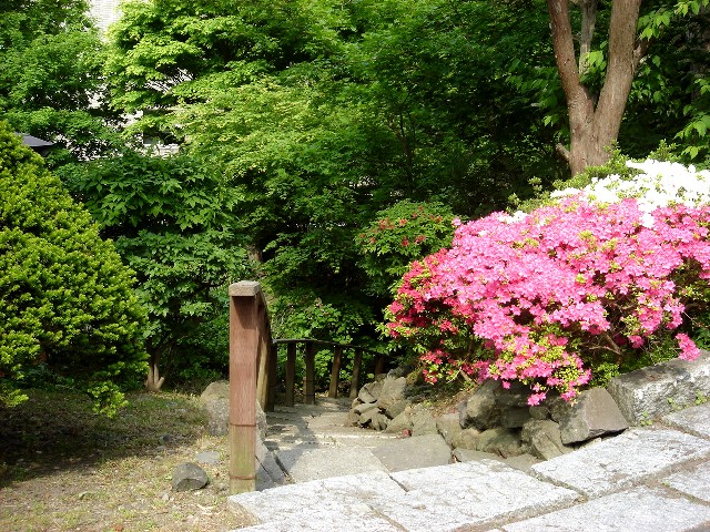 a0158797_2216315.jpg
