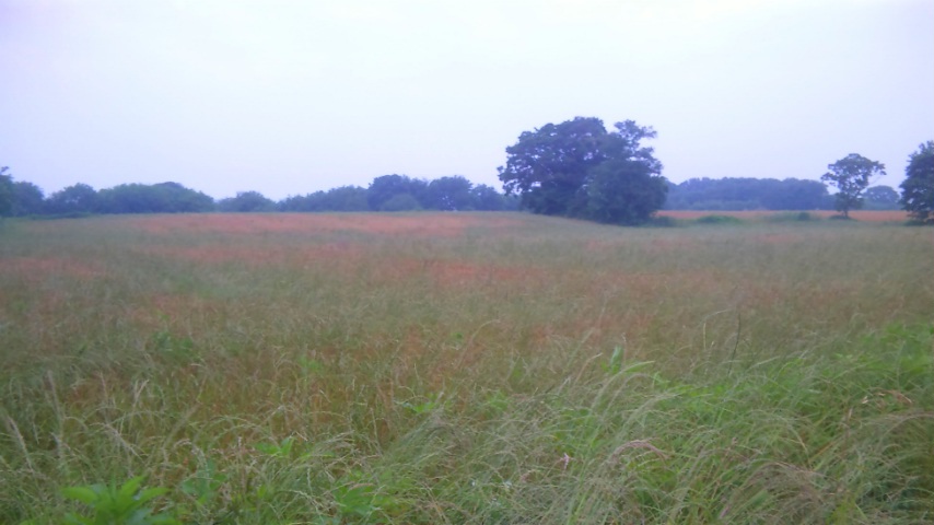 e0083097_2224426.jpg
