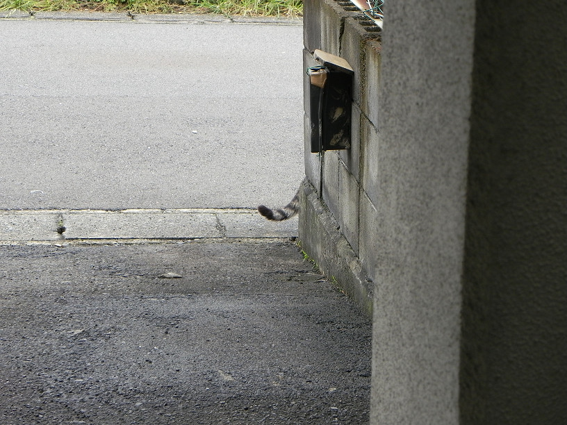 f0007197_12592244.jpg