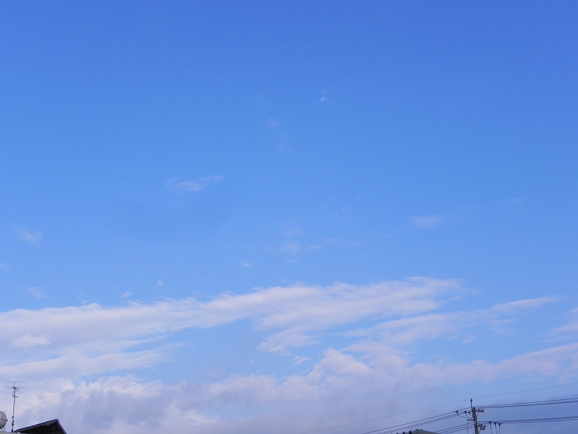 f0007197_1754723.jpg