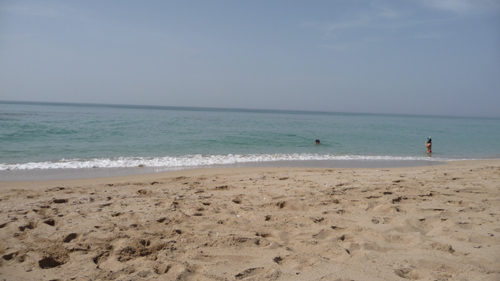6月の海_f0106597_2243503.jpg