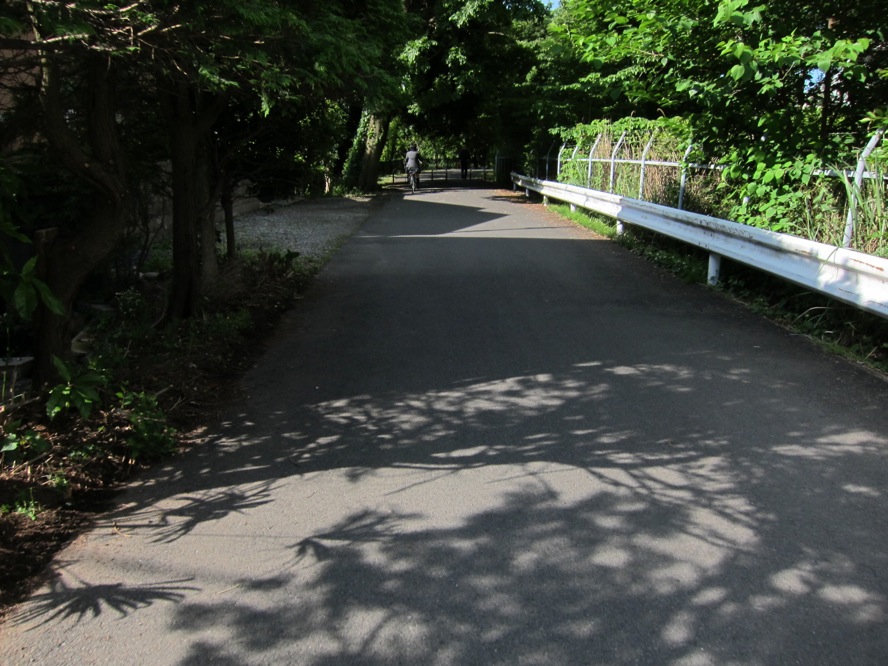 a0141498_21282252.jpg