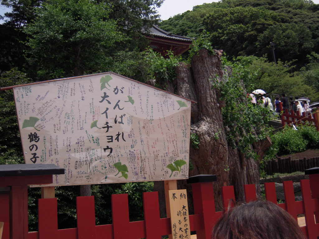 f0239098_1254568.jpg
