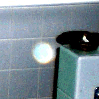 e0103408_1524597.gif