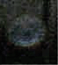 e0103408_1533633.gif