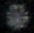 e0103408_1554910.gif