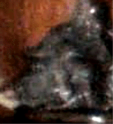 e0103408_1573135.gif