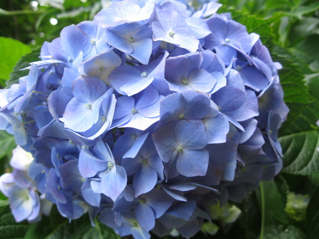 再び~~!?_a0125419_21272868.jpg