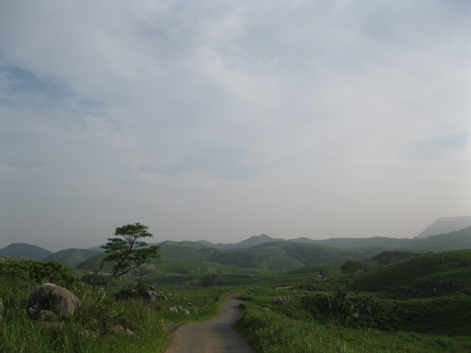 再び~~!?_a0125419_2143171.jpg