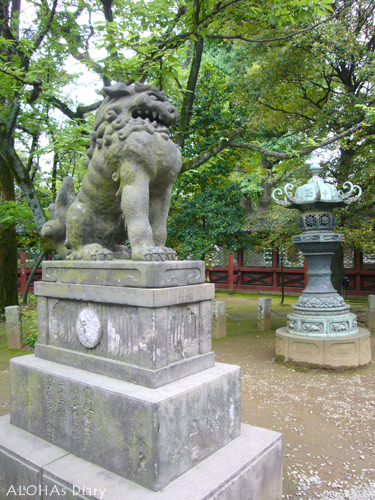 根津神社_e0163721_94074.jpg