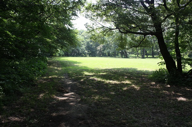 e0162524_122226.jpg