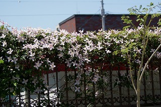 f0170524_15545324.jpg