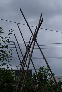 f0170524_1604372.jpg