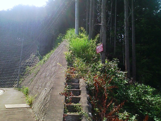 2010/06/12　高柄山_b0184725_003192.jpg