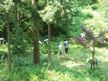 もやい生き生き渓流公園の整備活動(その1)_e0061225_13412573.jpg