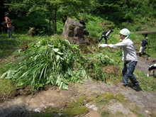もやい生き生き渓流公園の整備活動(その1)_e0061225_13422045.jpg