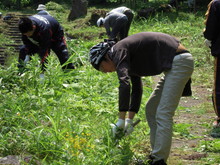 もやい生き生き渓流公園の整備活動(その1)_e0061225_13432369.jpg