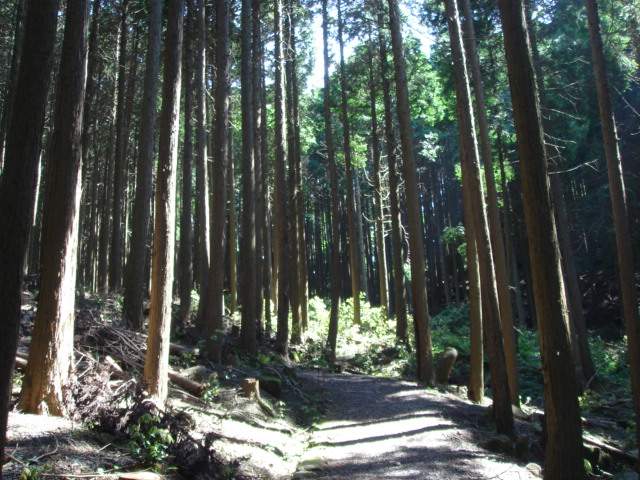 c0118926_10585651.jpg
