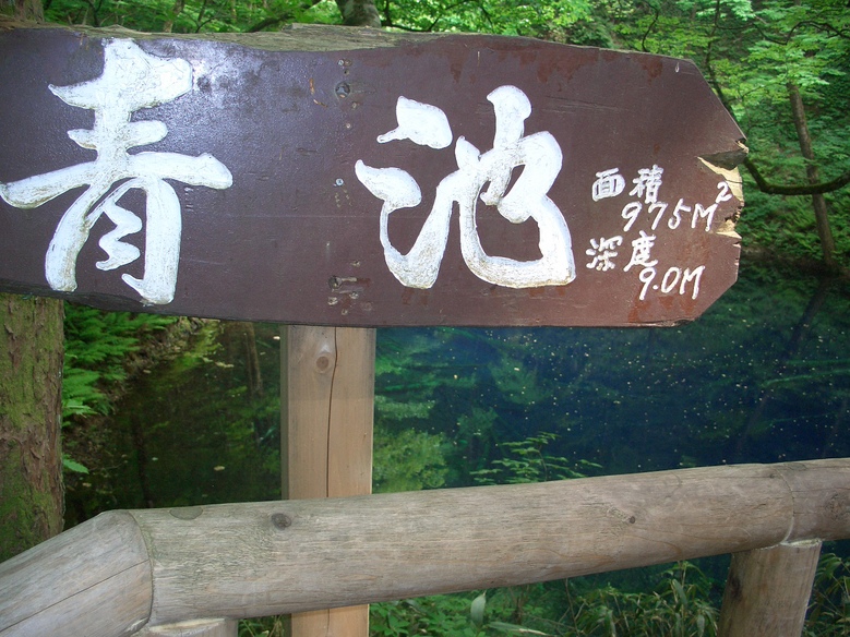 d0169732_2005289.jpg