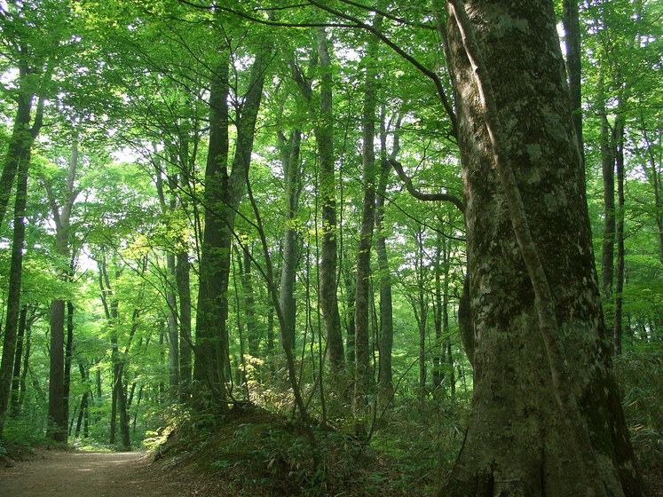 d0169732_2019727.jpg