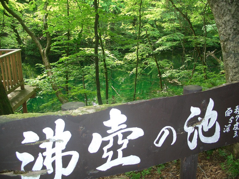 d0169732_20211318.jpg